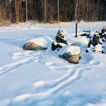 Kivikoti *