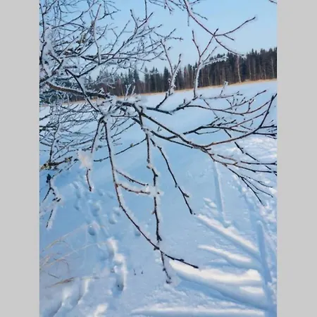 Kivikoti * Murto